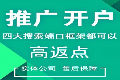 精准投放：SEM推广的技巧与案例